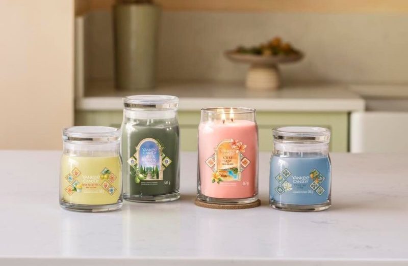 495148258_1237579075042968_723297928757738796_n